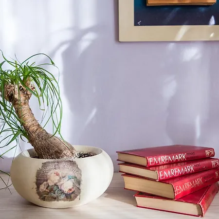 Appartement Lily Split