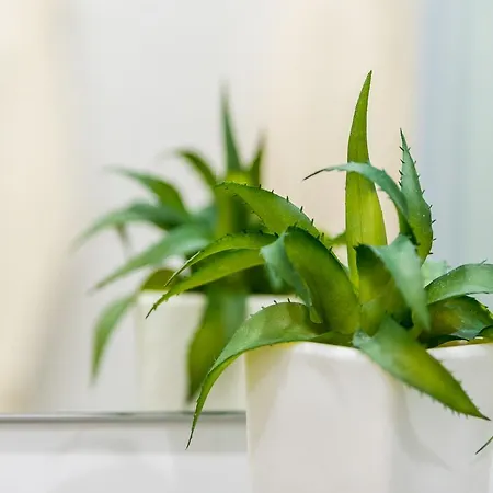 Appartement Lily